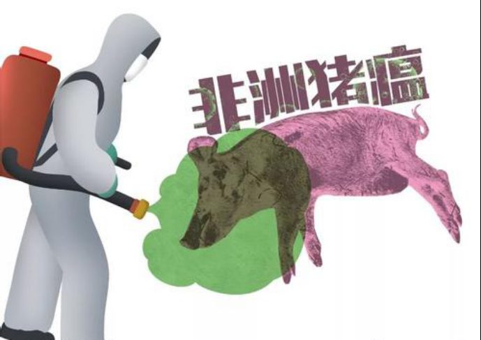 非瘟日常防控三要點(diǎn)：外防、內(nèi)控和提免